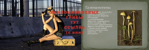 a pvp Богородицк