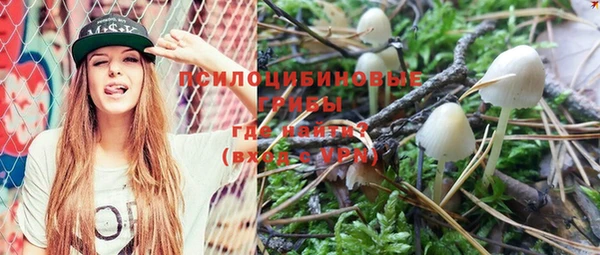 героин Богданович