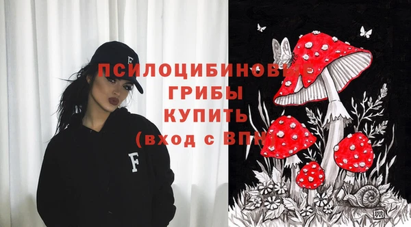 ешки Богородск