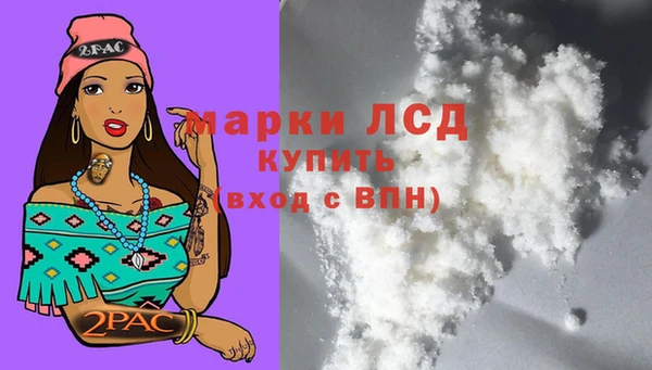 бошки Вязьма