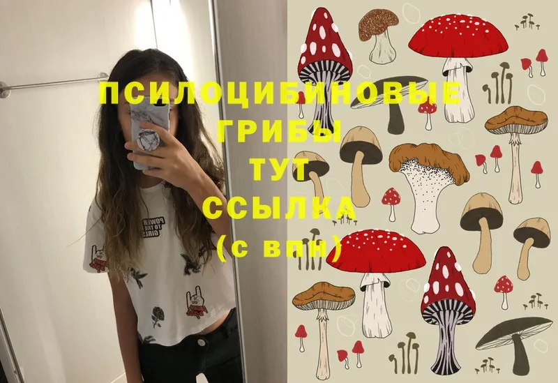 Галлюциногенные грибы Cubensis  Волчанск 