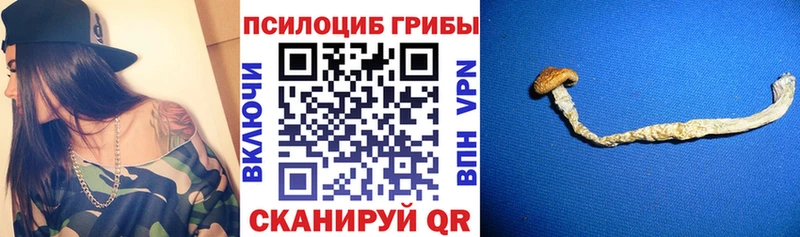 закладка  Волчанск  Галлюциногенные грибы Magic Shrooms 